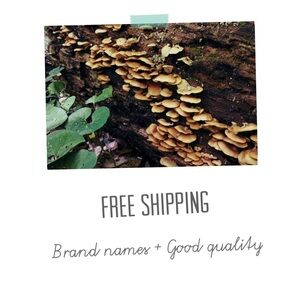 Now offering FREE SHIPPING
